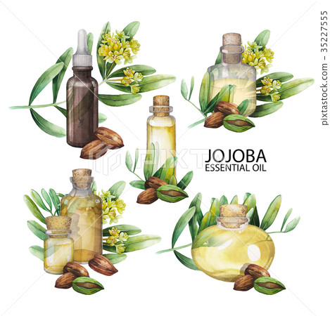 Watercolor jojoba oil set 35227555