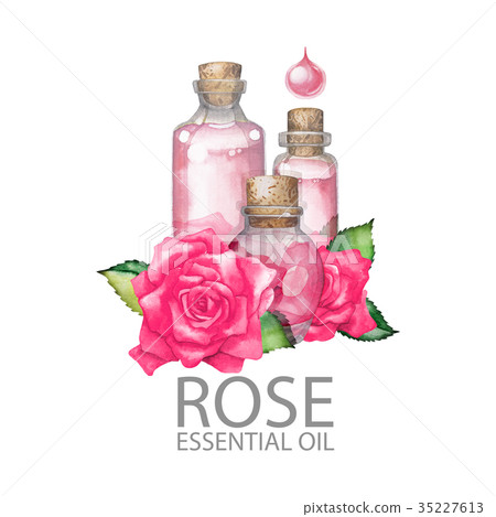Watercolor rose oil 35227613