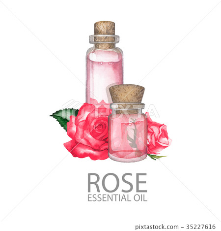 Watercolor rose oil 35227616