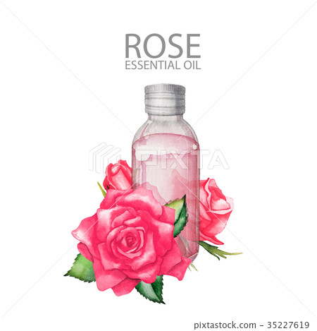 Watercolor rose oil Watercolor rose oil 35227619
