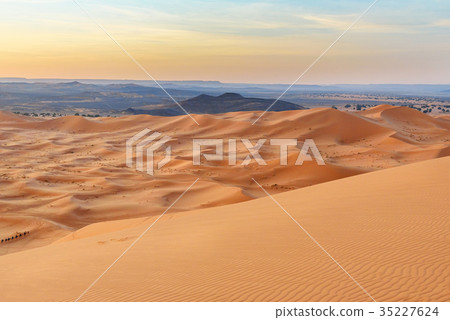 Erg Chebbi Sand dunes near Merzouga in the morning 35227624