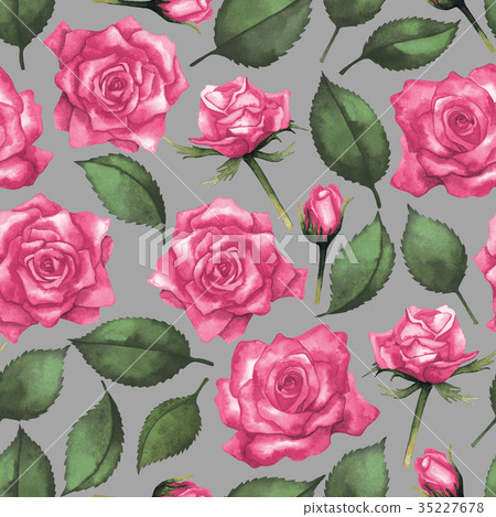 Watercolor roses pattern 35227678