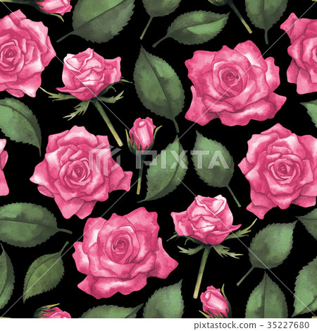 Watercolor roses pattern 35227680