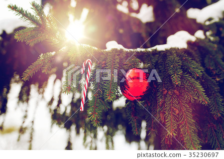 candy cane and christmas ball on fir tree branch candy cane and christmas ball on fir tree branch 35230697