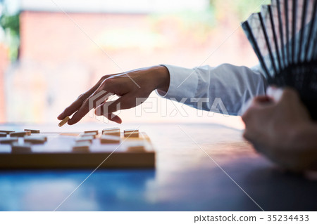 Match game of Shogi 35234433