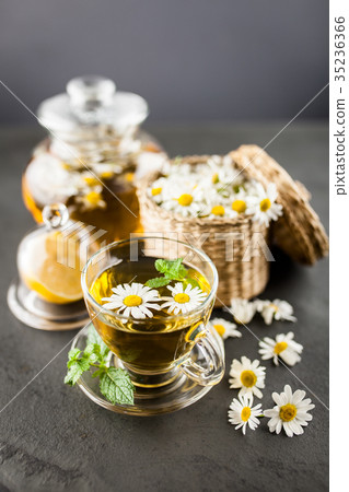 Cup of chamomile tea Cup of chamomile tea 35236366