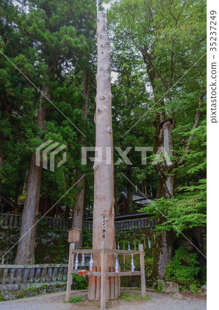 Suwa Taisha Motomiya Kazuyuki Onchou Suwa Taisha Motomiya Kazuyuki Onchou 35237249