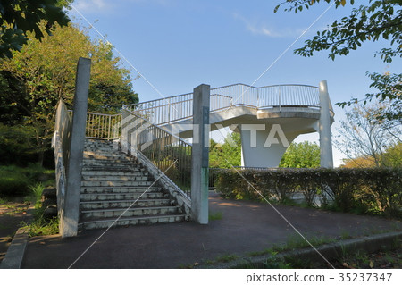 久里濱花國家天文台 35237347