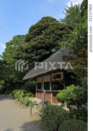 Kowloon in Koishikawa Korakuen 35237969