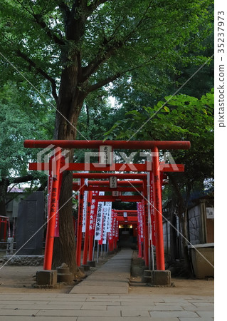 Torii group of Oniko Mother Shindo 35237973