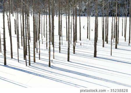 Winter natural lake 35238828