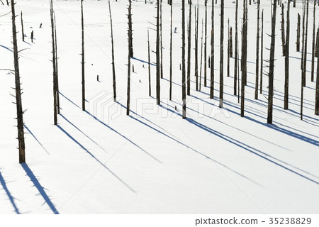 Winter natural lake 35238829