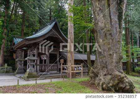 Suwa Taisha entrance entrance gate and bowl 35238857
