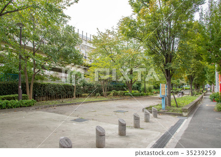 Sumida Ward Kamogawa Daiichi Park 35239259