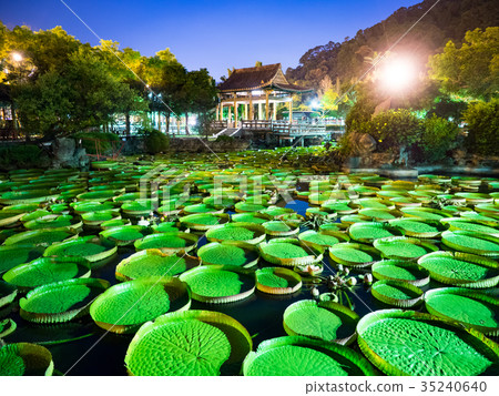 蓮花池公園 35240640