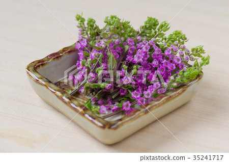 Hanaho Jiso 35241717