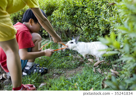 兒童，兔子，Goyang-si，Gyeonggi-do 35241834