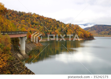 Autumn leaves of Tadabetsu dam 35242173