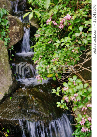 花園的瀑布 花園的瀑布 35242576