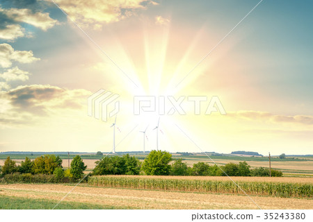 Sunset summer landscape Sunset summer landscape 35243380