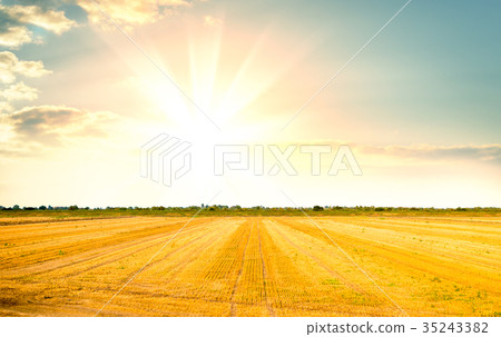 Sunrise over fields and distant woods Sunrise over fields and distant woods 35243382