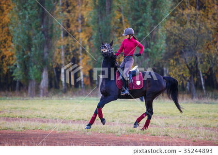 Young rider girl on bay horse in the autumn park 35244893