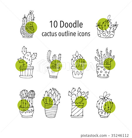 Cactus succulents vector illustrations. 35246112