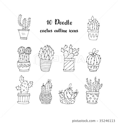 Cactus succulents vector illustrations. 35246113
