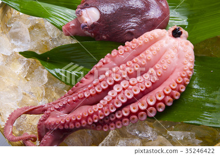 Octopus foot Octopus foot 35246422
