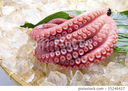 Octopus foot 35246427