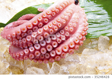 Octopus foot 35246428