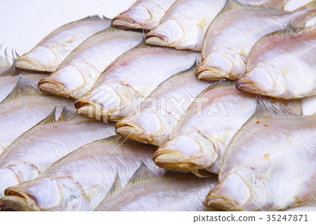 比目魚乾魚 35247871