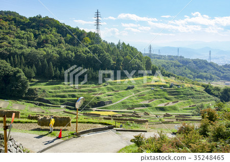 Shinshu Tanada of Inakura after harvesting rice 35248465