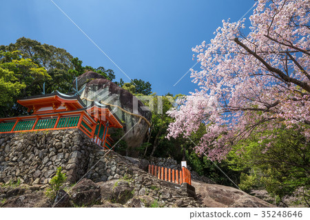 Spring Kamikura Shrine Spring Kamikura Shrine 35248646