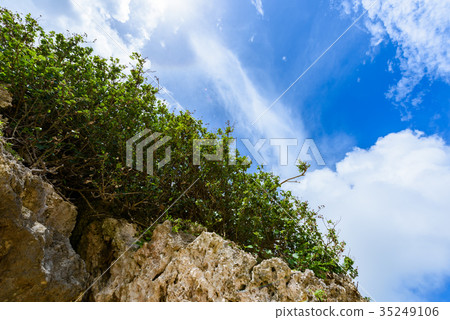 沖繩的天空 沖繩的天空 35249106