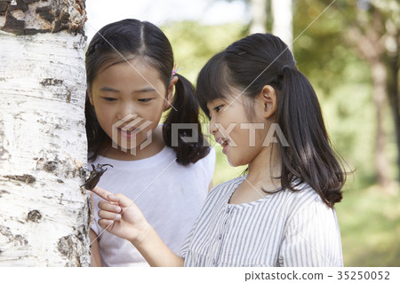 Children, field trips, insect collection Children, field trips, insect collection 35250052