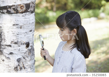 Children, field trips, insect collection 35250065