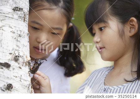 Children, field trips, insect collection 35250114
