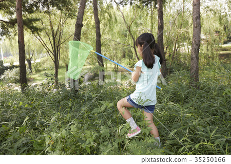 兒童，實地考察，昆蟲採集 35250166