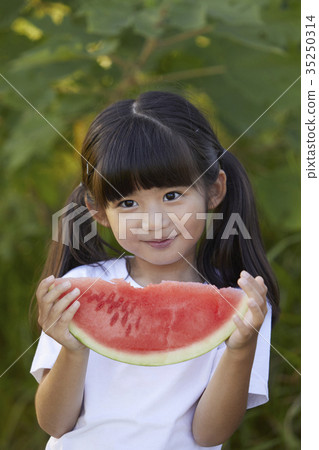 Children, watermelon, eating 35250314