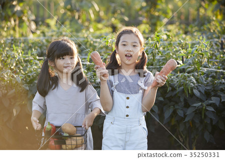 兒童，農作物，收穫 35250331