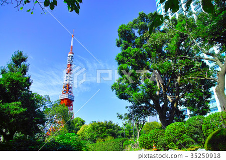從芝公園景觀 35250918