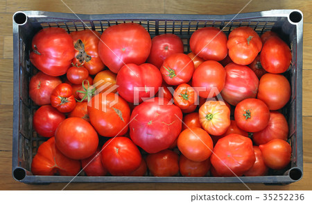 Organic Tomato Organic Tomato 35252236