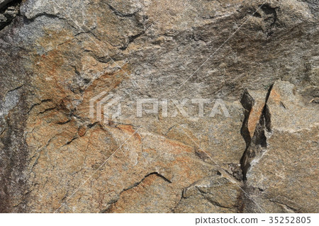 Rough rough skin 35252805