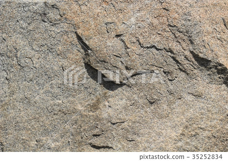 Rough rough skin 35252834