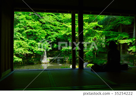 Kyoto's early summer lotus temple 35254222