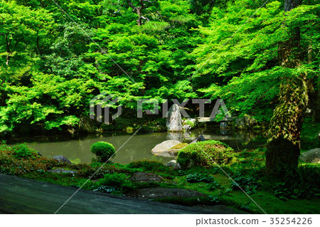 京都的初夏蓮花寺 35254226
