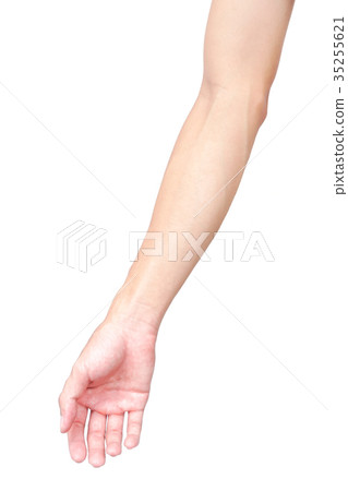 Man arm skin with blood veins on white background 35255621