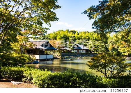 Japanese garden Japanese garden 35256867