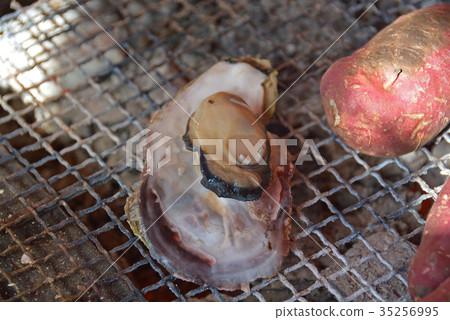 Baked oysters 35256995
